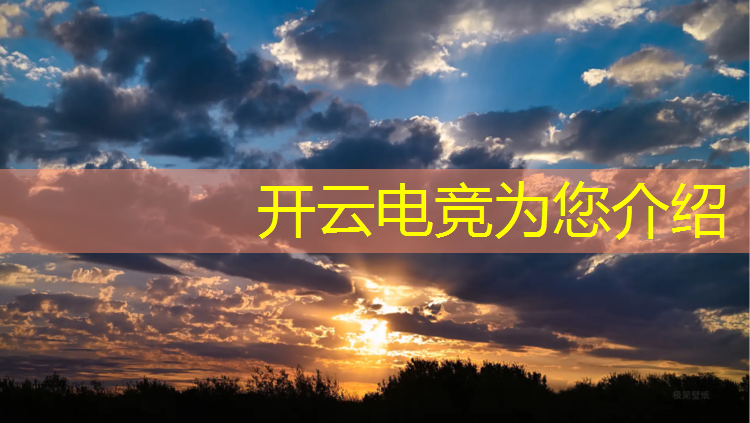 kaiyun·开云电竞为您介绍：东亚电竞锦标赛英雄联盟山鸡