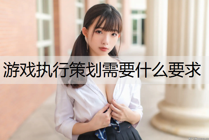 游戏执行策划需要什么要求