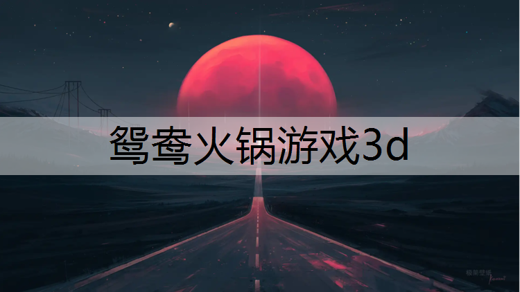 鸳鸯火锅游戏3d